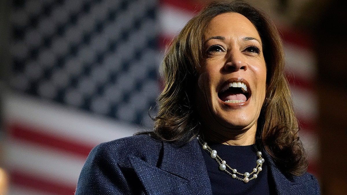 Vice President Kamala Harris laughed